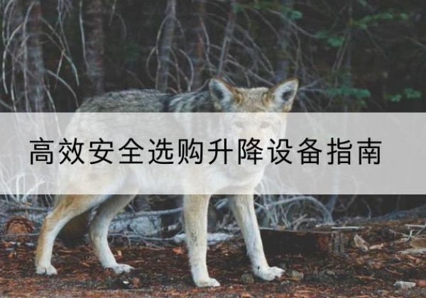 静海区升降货梯厂家推荐-*安全选购升降设备指南