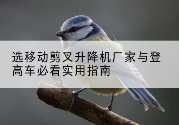 静海区电动升降机厂家-选移动剪叉升降机厂家与登高车必看实用指南