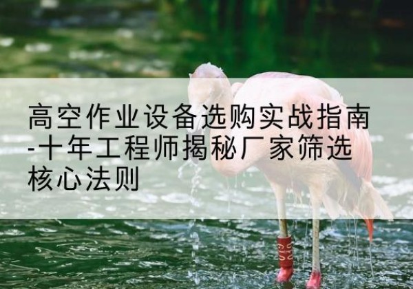 静海区剪叉式升降机厂家-高空作业设备选购实战指南-十年工程师揭秘厂家筛选核心法则